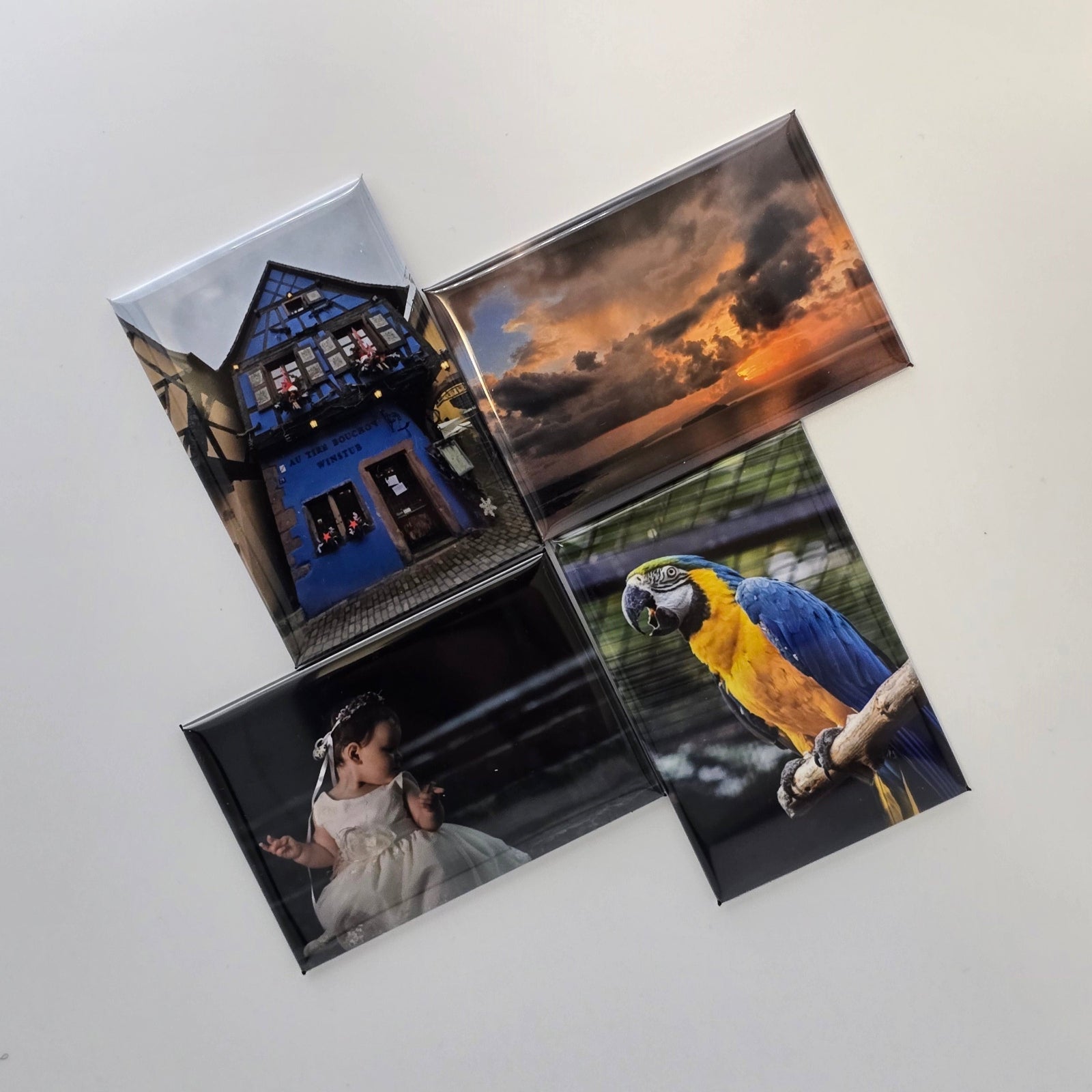 Set of four photo magnets featuring a house, landscape, child, and parrot on a white background.