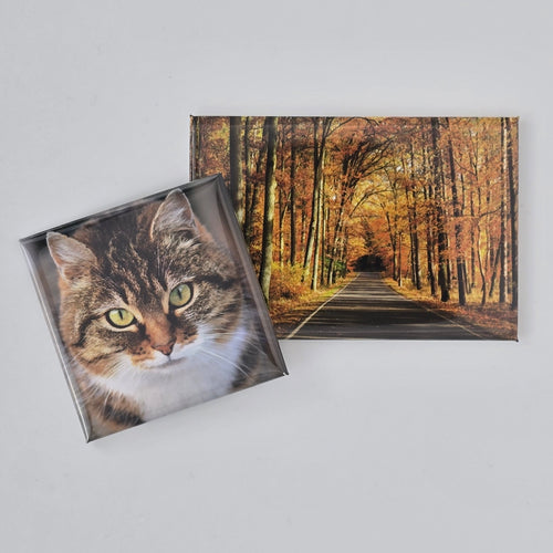 Two rectangular photo magnets, one with a cat and the other with a forest scene, on a light gray background.