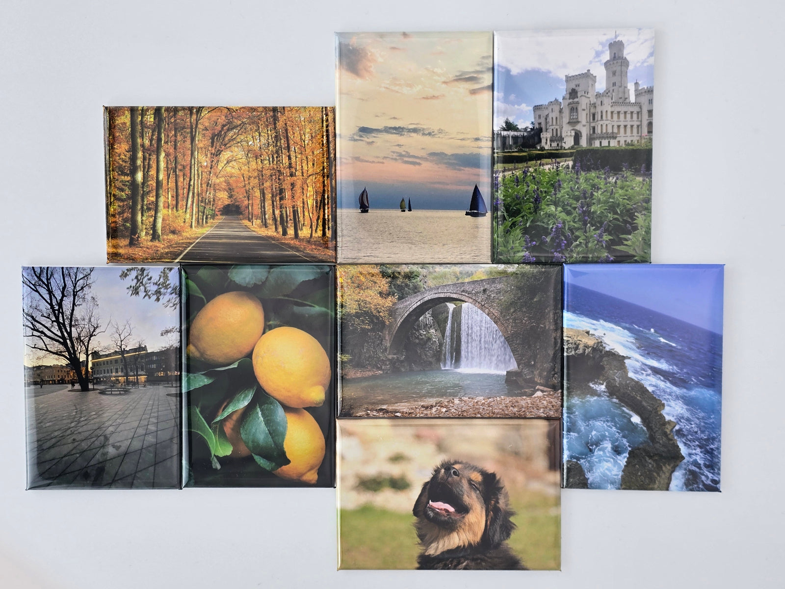 Collection of various photo magnets on a white wall