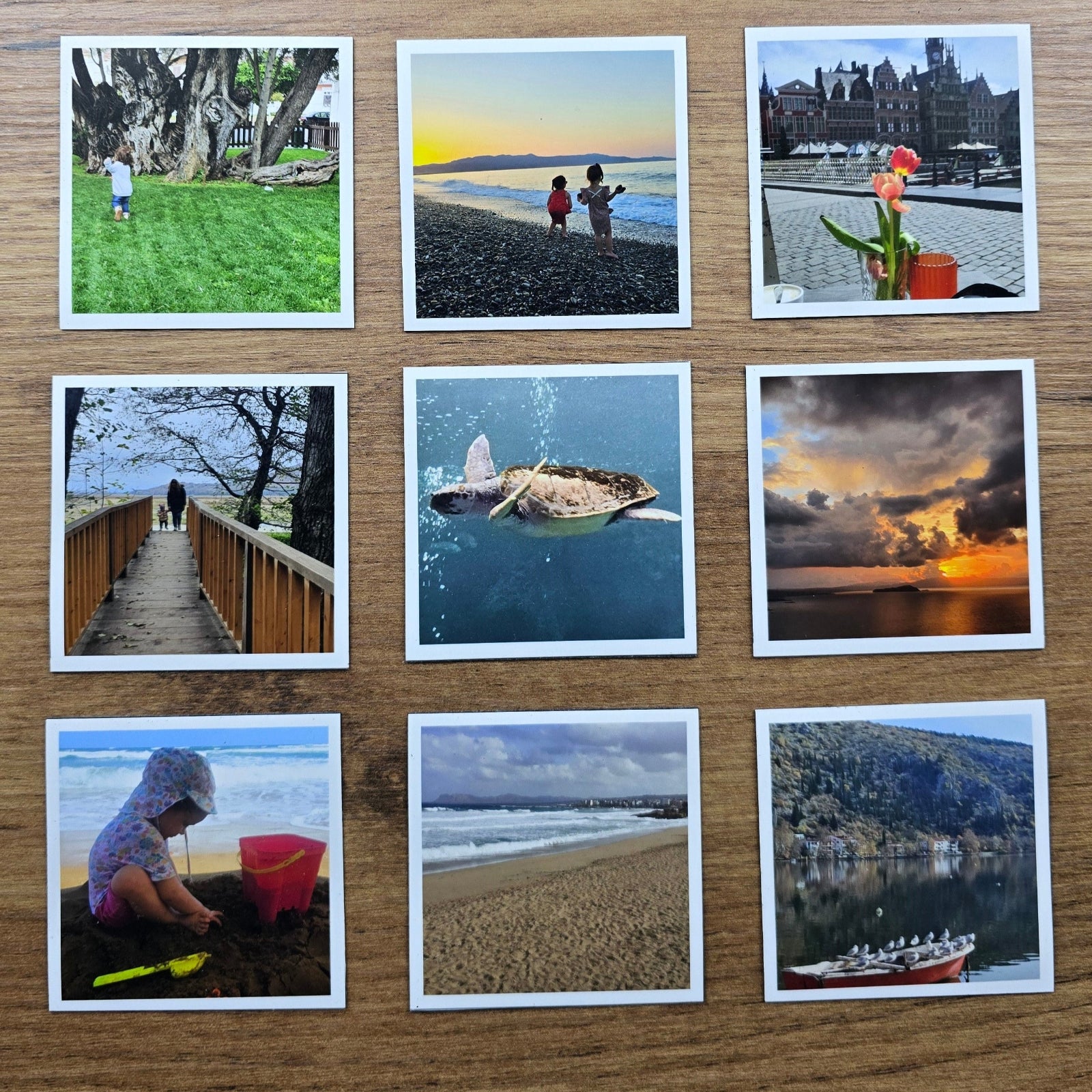 Collection of magnet photographs on a wooden surface