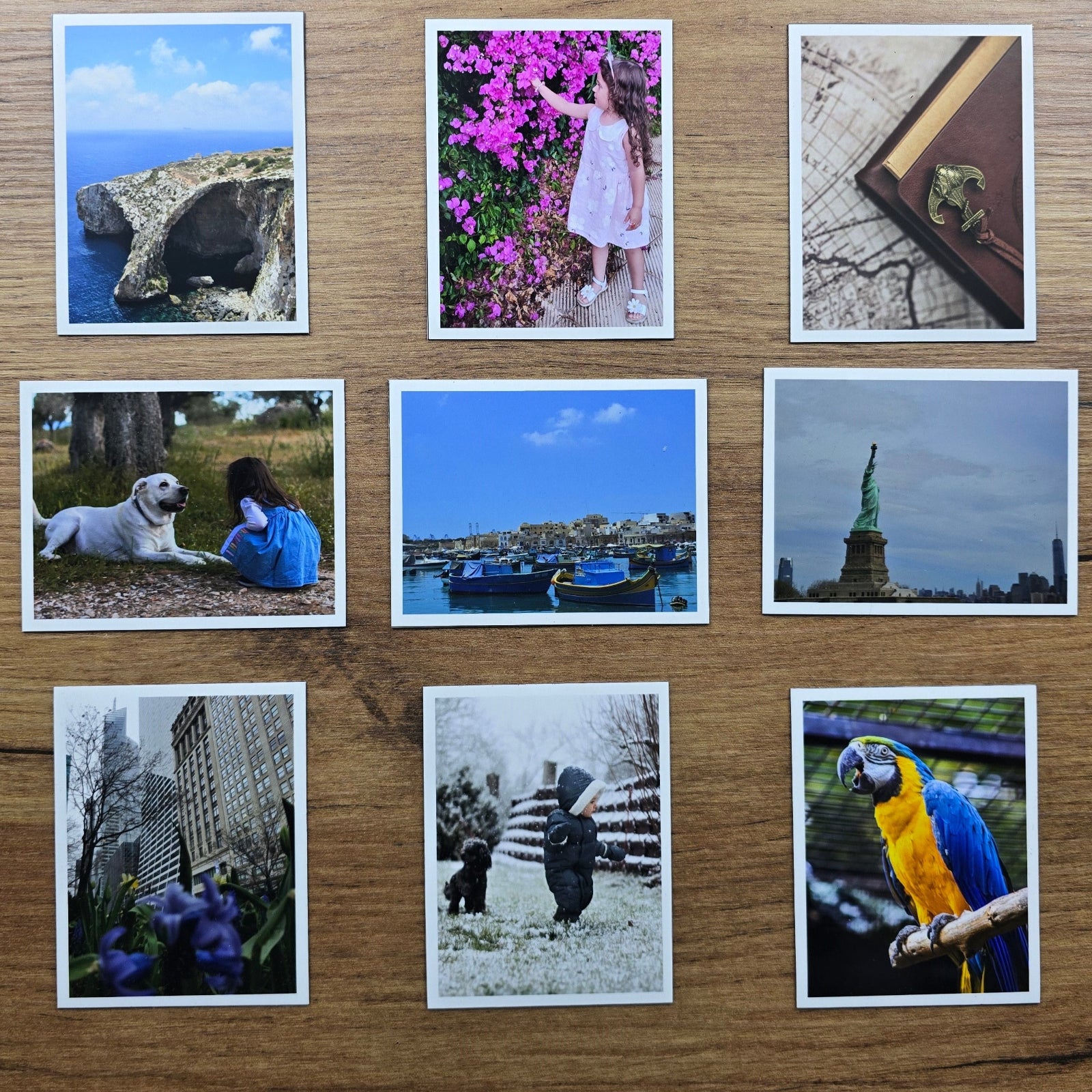 Collection of photo magnets with various images on a wooden surface
