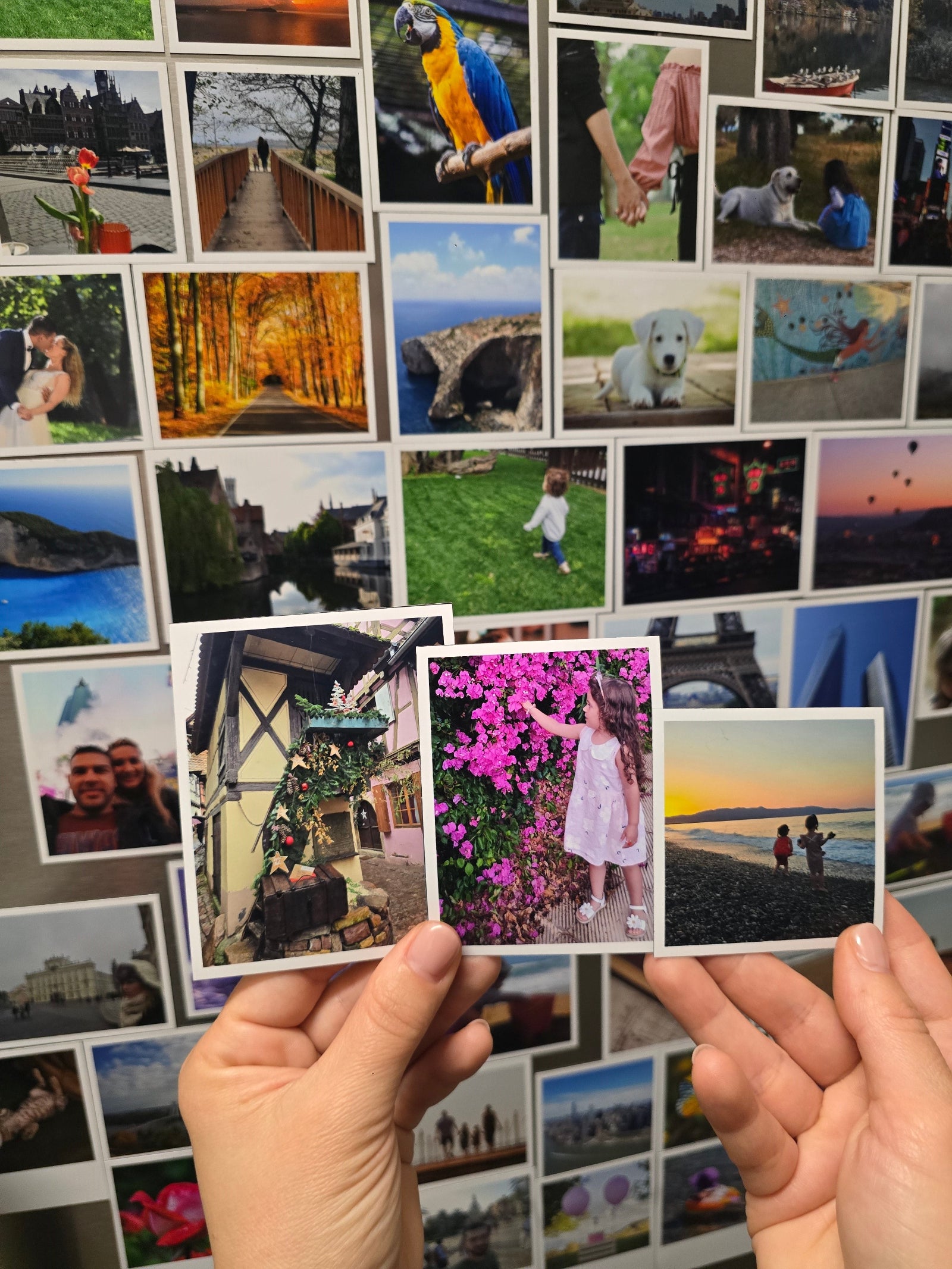Collage of various magnet photos held by a person with more photos in the background