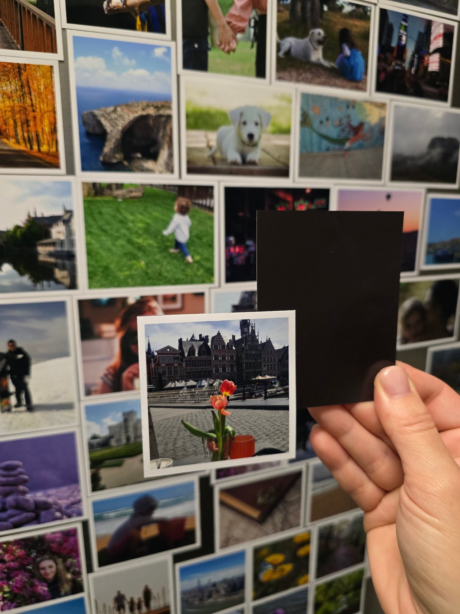 Hand holding a magnet photo over a collage of various magnet photos