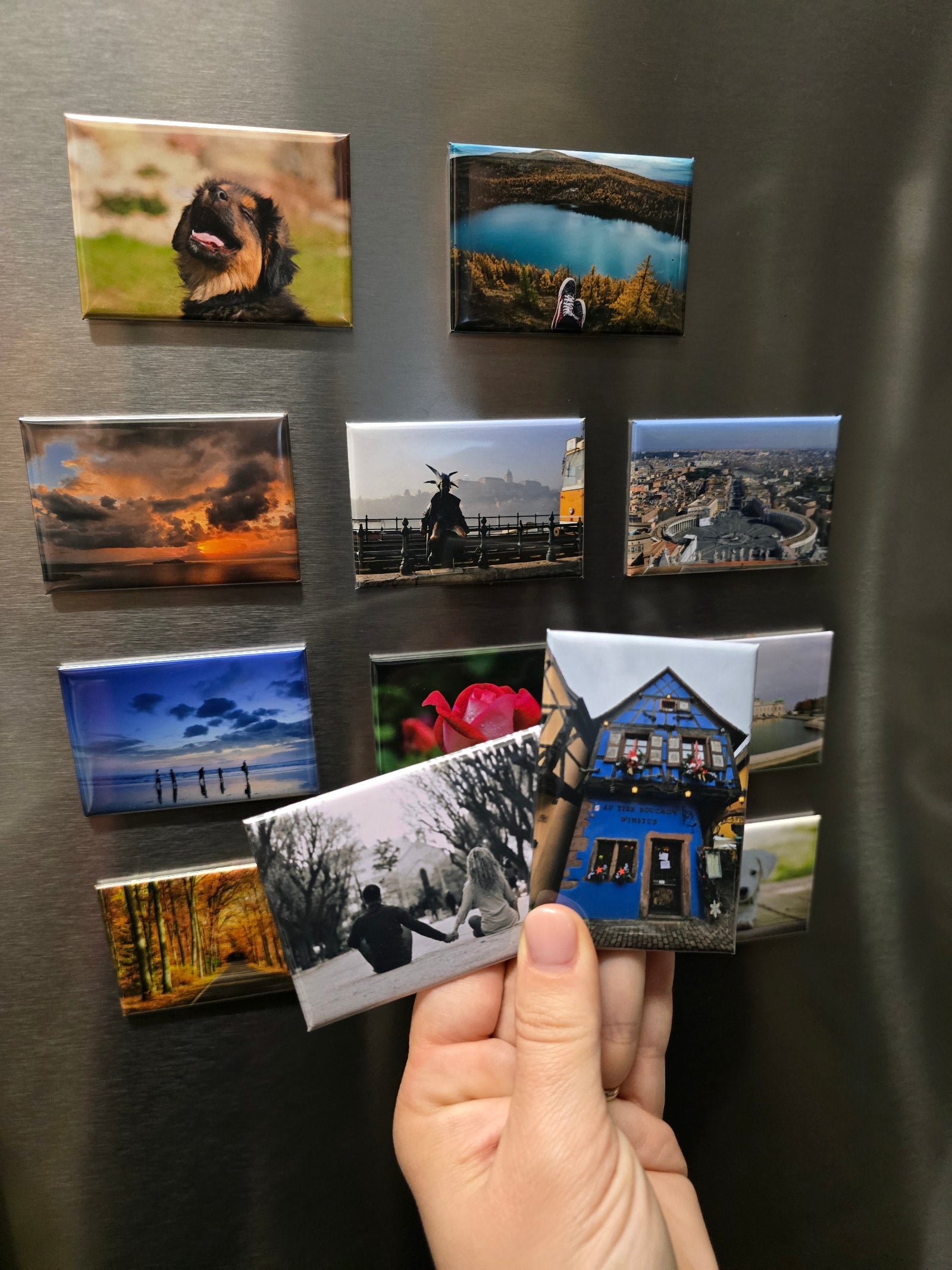 Collection of small photo magnets on a refrigerator with a hand holding one magnet.