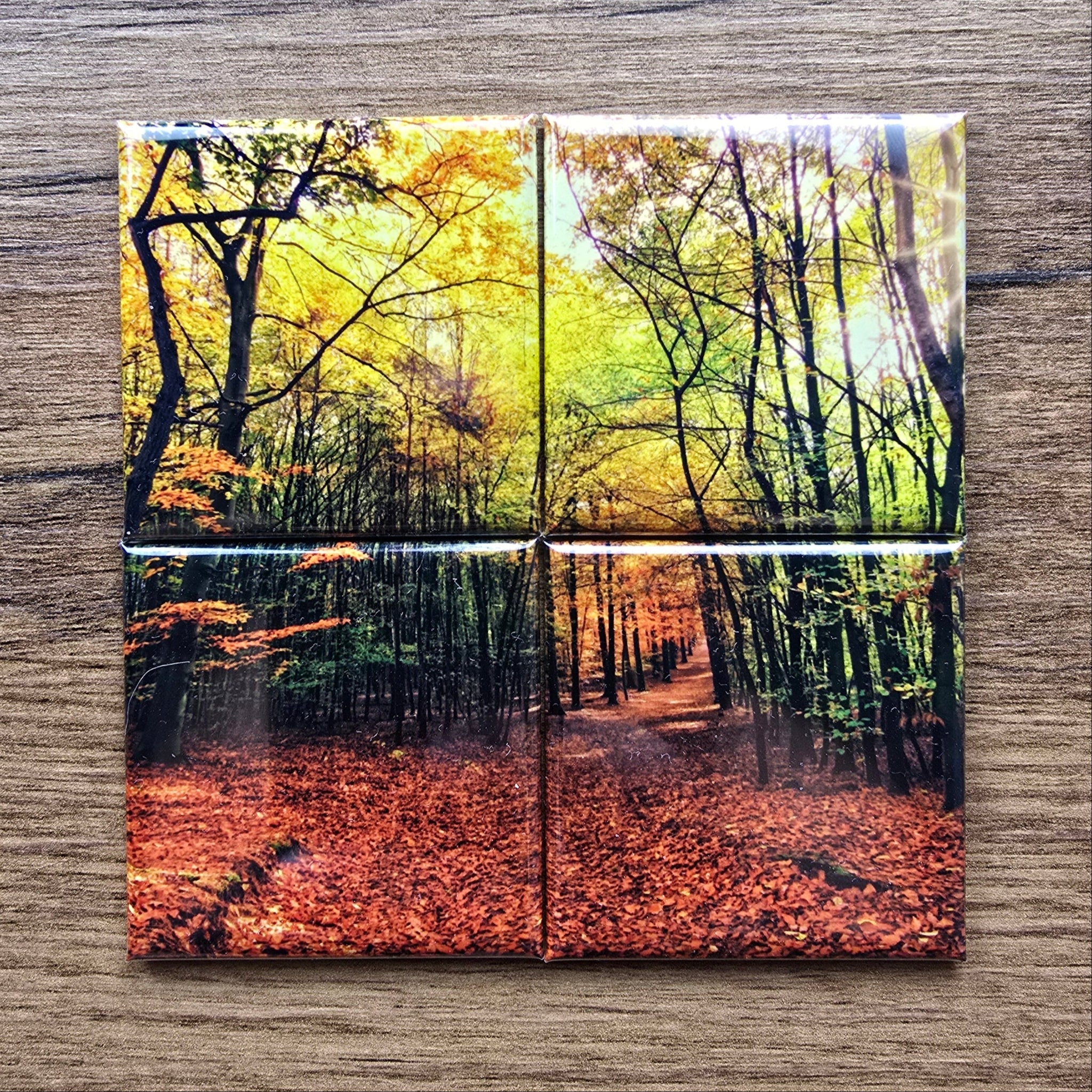 Four square tiles photo magnets with forest scene designs on a wooden surface