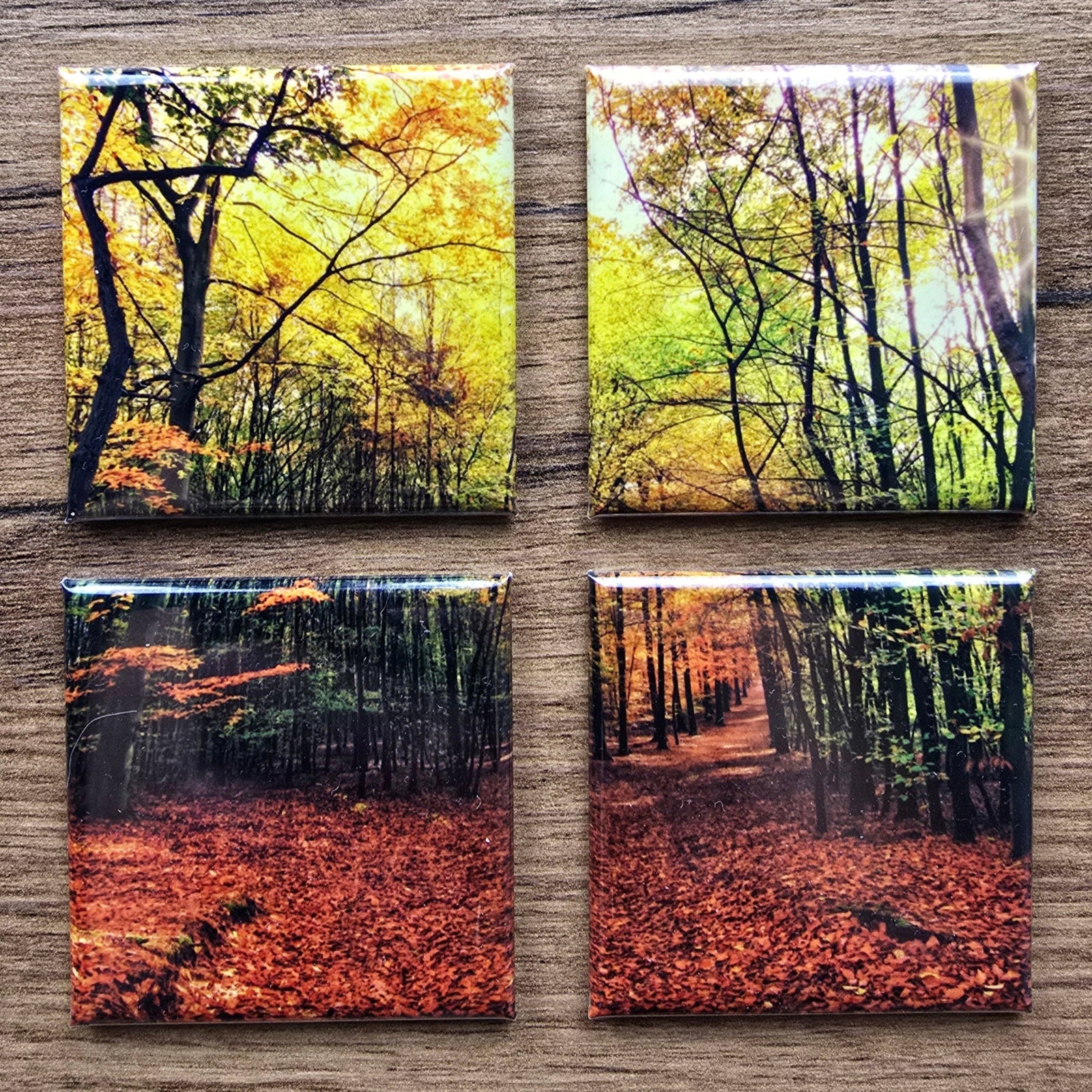 Four square tiles photo magnets with forest scenes on a wooden surface