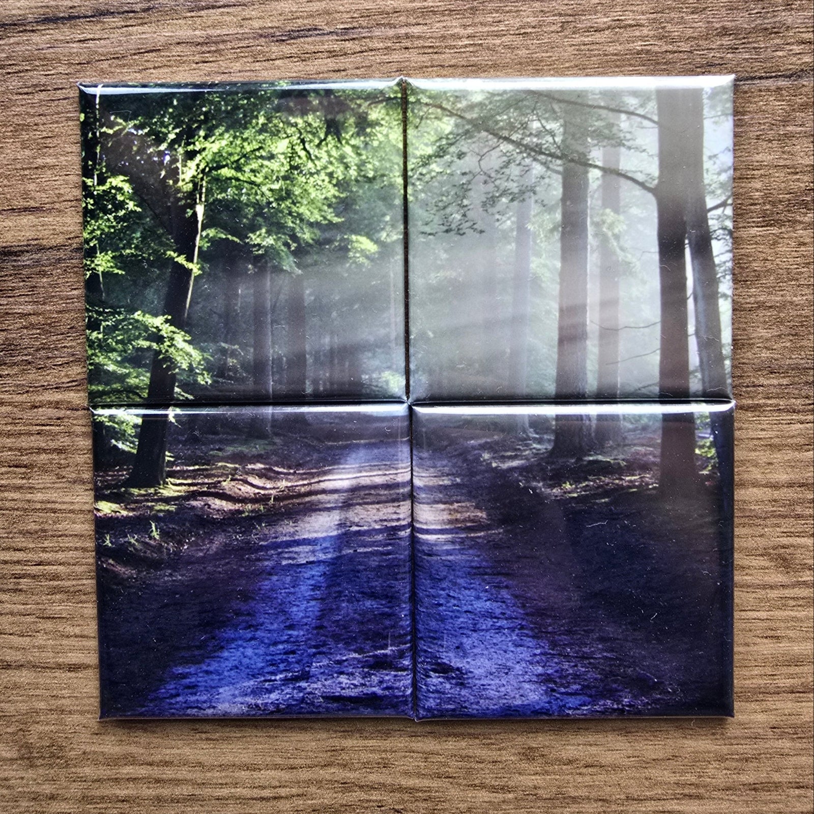 Four-panel print photo magnet of a nature scene on a wooden surface