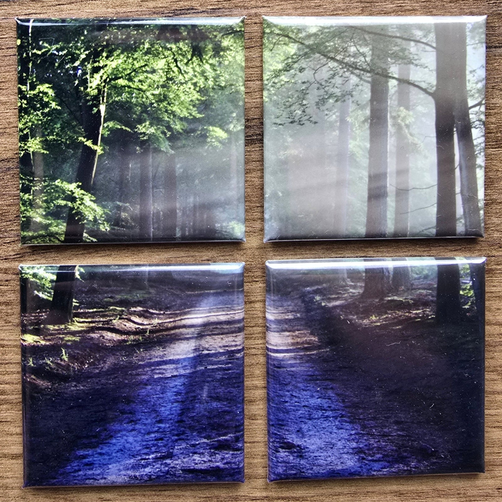 Four square tiles photo magnets with nature-themed images on a wooden surface